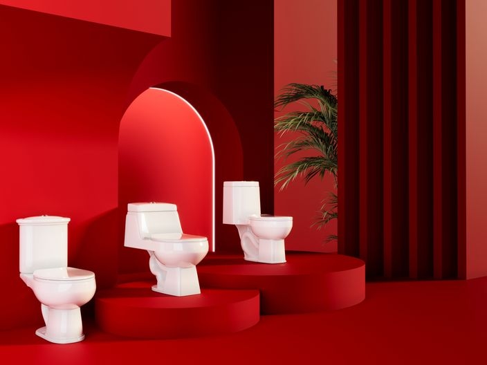 Zona Roja